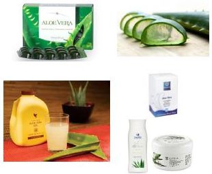 Aloe Vera Products - Hungary