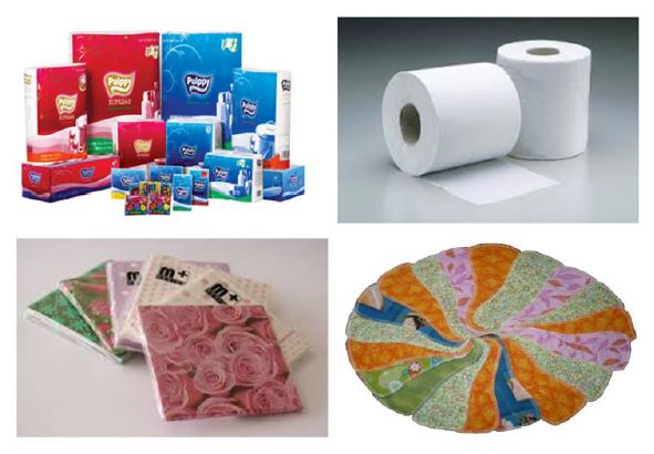 Sanitary Paper - Hungary