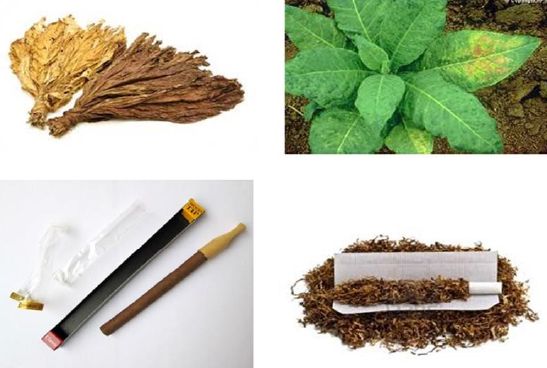 Tobacco and Cigarettes - Hungary