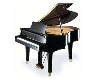 Musical Instruments