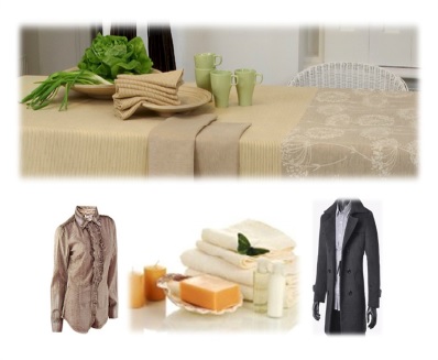 CONSUMER GOODS IN THE HUNGARIAN MARKET