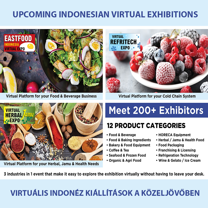 VIRTUAL EXHIBITIONS / VIRTUÁLIS KIÁLLÍTÁSOK