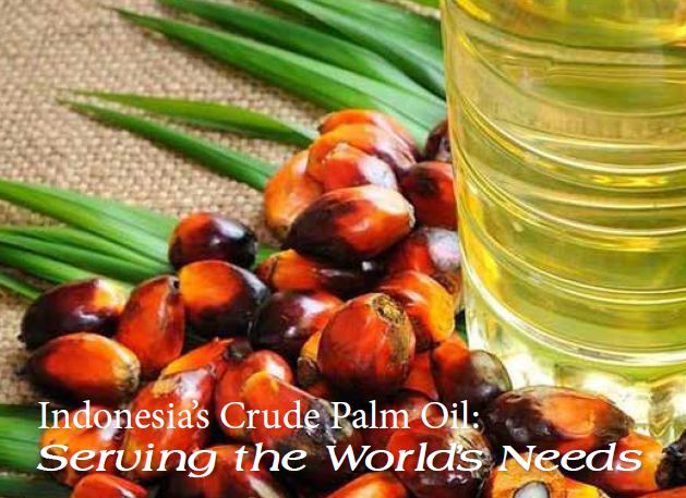 Palm Oil