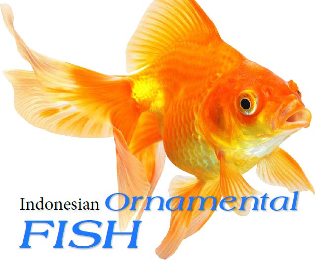 Ornamental Fish